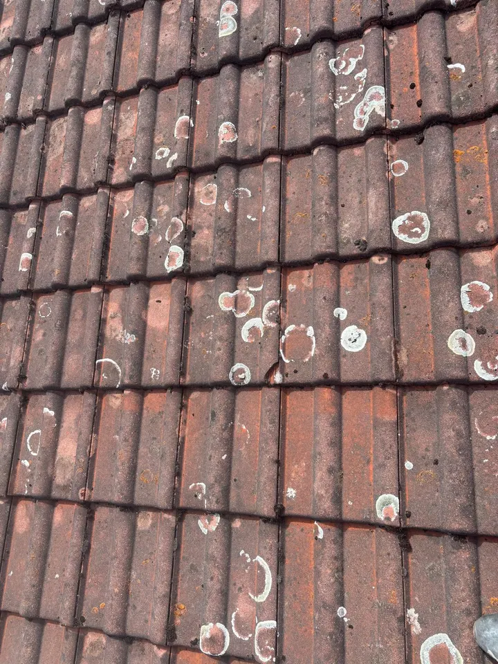 Dachreinigung