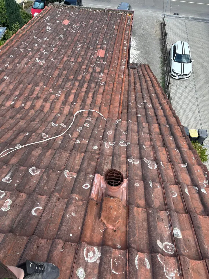 Dachreinigung